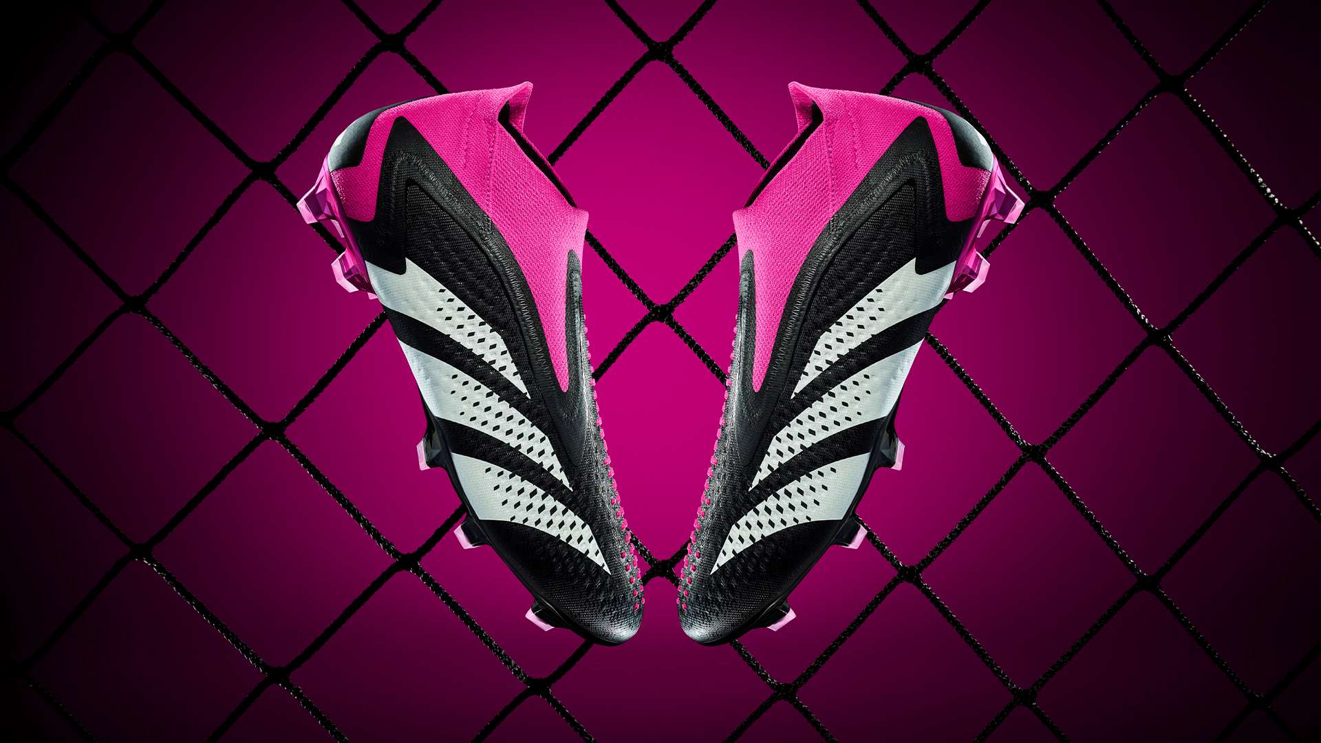 也在不断地 也在不断地